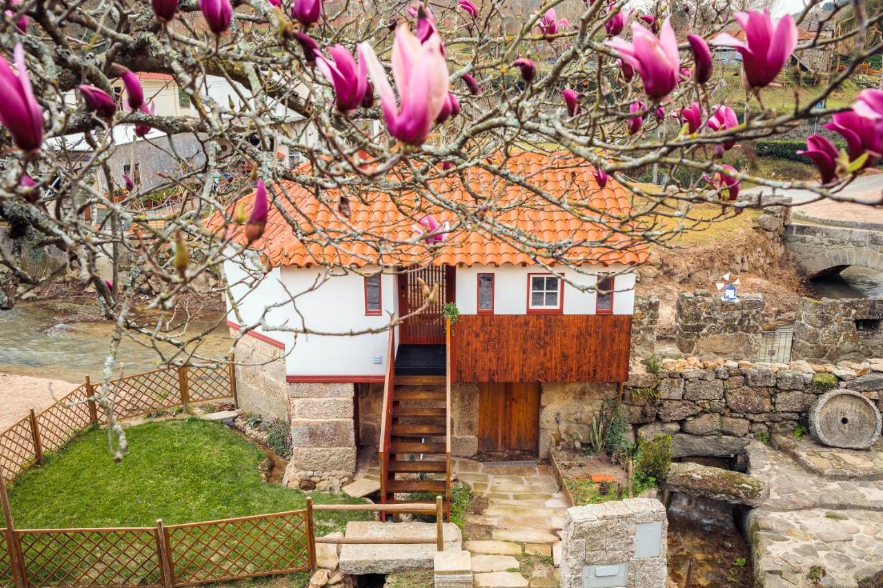 Refugio House Natura Moinho De Agua - Eco House Guimaraes Luaran gambar