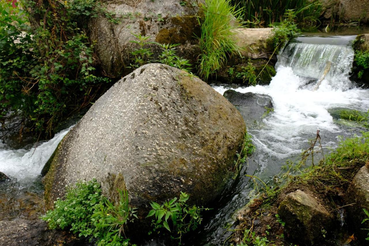 Refugio House Natura Moinho De Agua - Eco House Guimaraes Luaran gambar